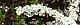 100319-yukiyanagi.jpg(1833 byte)