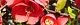 100408-boke-s.jpg(1838 byte)