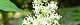 100426-niwatoko-s.jpg(1601 byte)