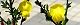100430-enisida-s.jpg(1758 byte)