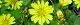 100501-zisibari-s.jpg(1732 byte)