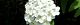 100505-kotemar.jpg(1353 byte)