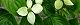 100513-yamabouci-s.jpg(1653 byte)