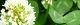 100514-kuroba-s.jpg(1586 byte)
