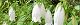 100612-hotaruhuku-s.jpg(1736 byte)