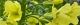 101216-burokkori-s.jpg(1595 byte)