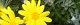 101226-yuriopusu-s.jpg(1657 byte)