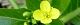 101227-asupana-s.jpg(1453 byte)