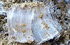 110113-simobasir2.jpg(7380 byte)