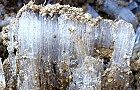 110113-simobasir3.jpg(7358 byte)