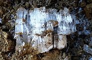 110113-simobasira.jpg(11489 byte)
