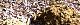 110204-mogurazuka-s.jpg(1905 byte)