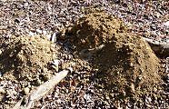 110204-mogurazuka.jpg(13960 byte)