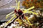 110209-mansaku.jpg(6749 byte)