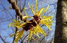 110209-mansaku3.jpg(5806 byte)