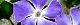 110222-nitiniti-s.jpg(1694 byte)