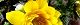 110223-hukujyuso-s.jpg(1761 byte)