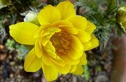 110223-hukujyuso.jpg(7325 byte)