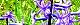 100329-hiyasinsu-s.jpg(2057 byte)