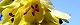 110320-tosamizuki-s.jpg(1598 byte)