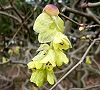 110323-tosa4.jpg(4715 byte)