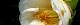 110323-yabu0tubaki-s.jpg(1284 byte)