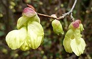 110324-hyuga.jpg(7403 byte)