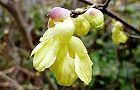 110324-hyuga2.jpg(5180 byte)