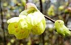 110324-hyuga3.jpg(4978 byte)
