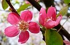 10.04.11.-karin2.jpg(5782 byte)