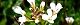 110328-tanetuke-s.jpg(1784 byte)