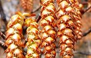 110330-inuside.jpg(10847 byte)