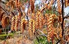 110330-inuside2.jpg(7946 byte)