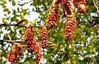 110330-inuside3.jpg(8118 byte)