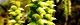 110330-kumaside-s.jpg(1769 byte)