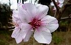 110331-a-mondo4.jpg(4974 byte)