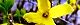 110402-sina-s.jpg(1808 byte)