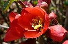 110404-boke2.jpg(5157 byte)
