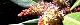 110406-yamamomo-s.jpg(1711 byte)