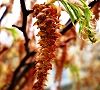 110411-inuside.jpg(4783 byte)