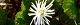 110412-hitorisizuka-s.jpg(1669 byte)