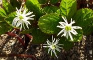 110412-hitorisizuka.jpg(9588 byte)
