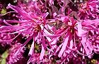 110414-benitokiwa4.jpg(8110 byte)