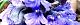 110418-seiyou-s.jpg(1849 byte)