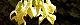 110425-akigumi3-s.jpg(1644 byte)