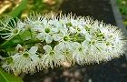 110428-uwamizu.jpg(5996 byte)