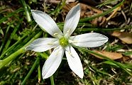 110429-ooama.jpg(10273 byte)