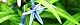 110430-cyoujiso-s.jpg(1758 byte)