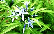 110430-cyoujiso.jpg(10020 byte)