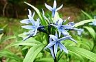 110430-cyoujiso2.jpg(6429 byte)